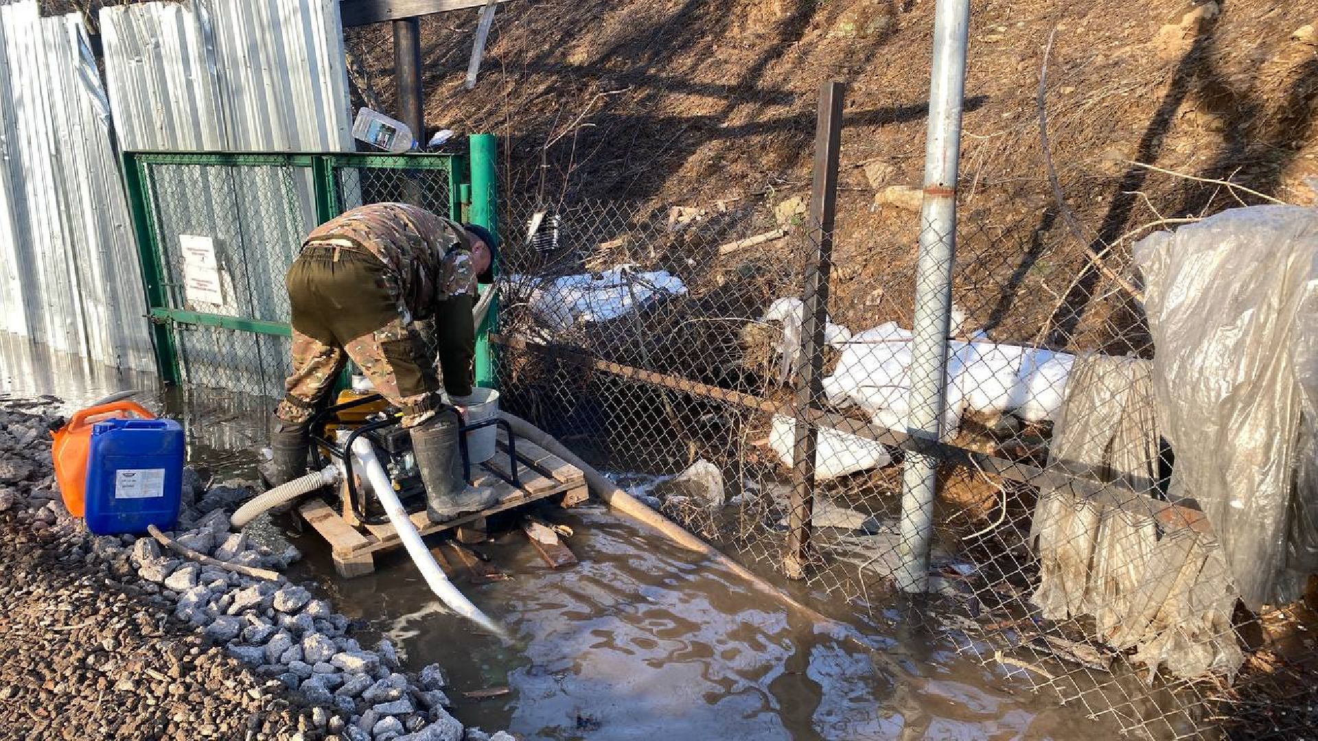 приют для животных, ленинский городской округ, собаки, потоп, чп подмосковье,