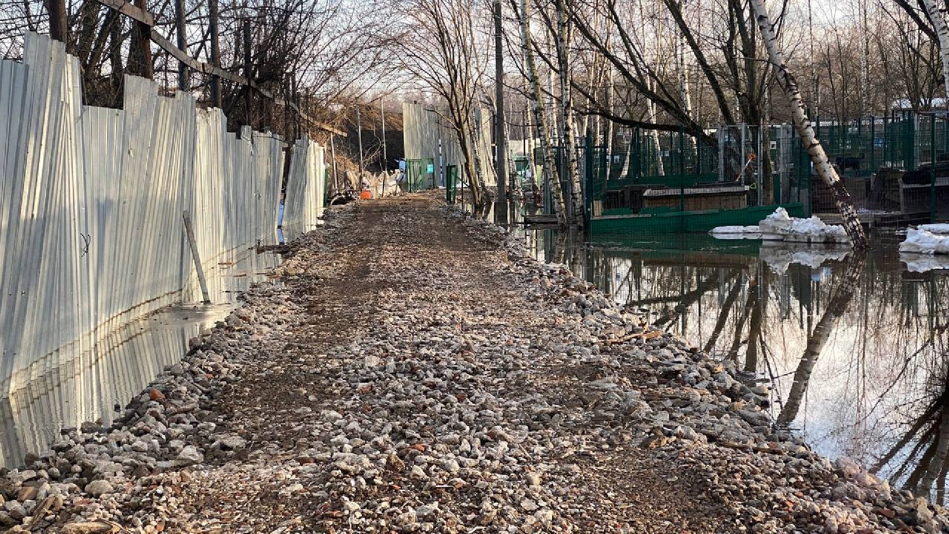 приют для животных, ленинский городской округ, собаки, потоп, чп подмосковье,