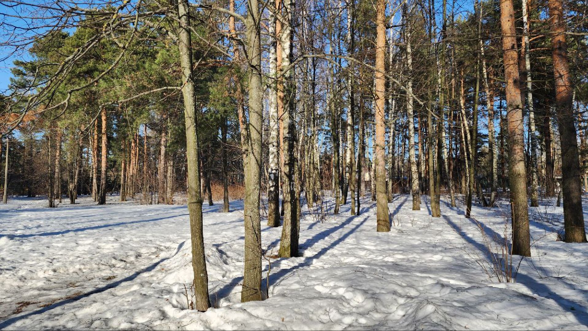 Реконструкция парка, Летний парк в Малаховке, объект культурного наследия, люберцы,