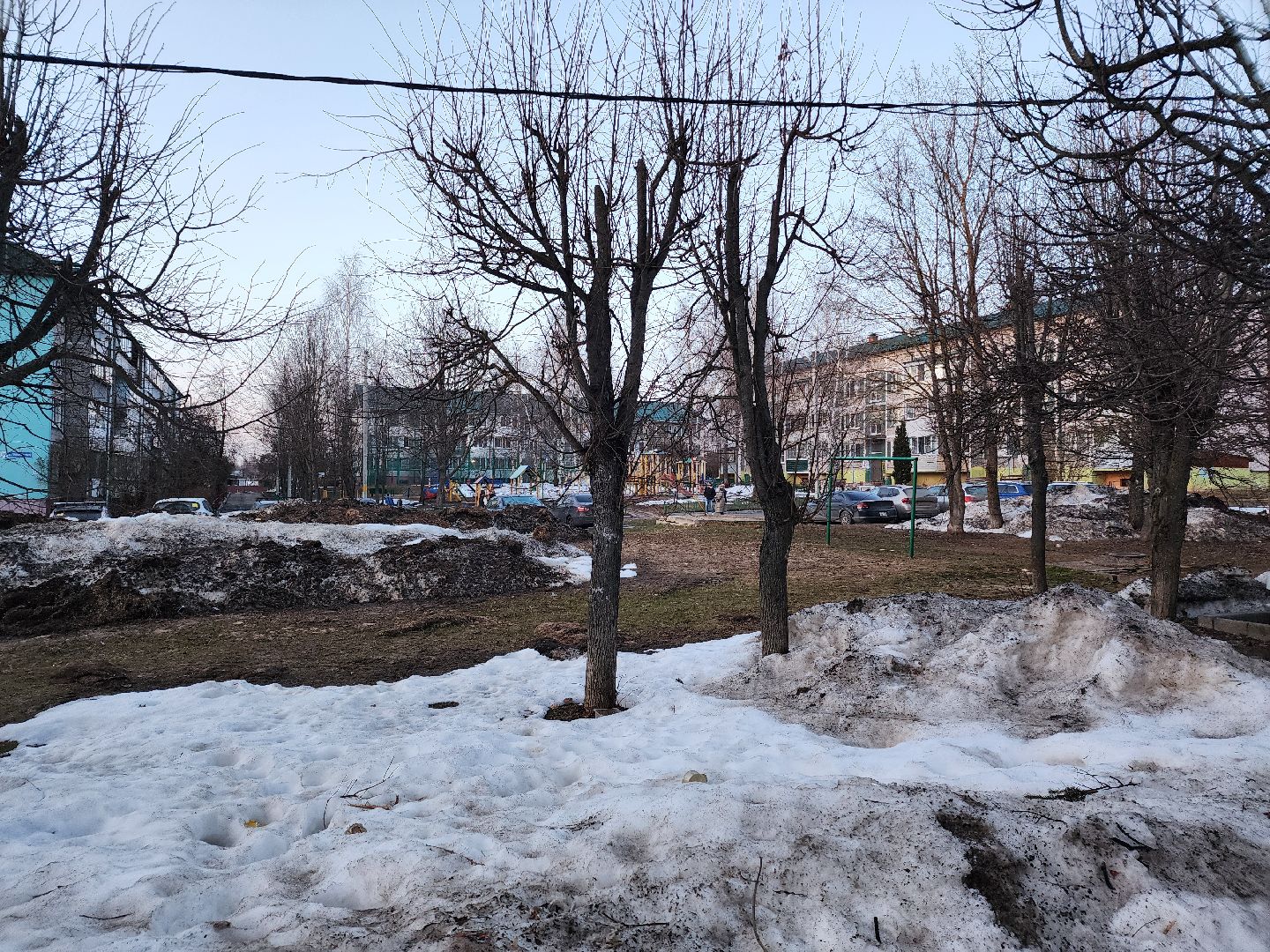 выездная администрация, собаки,