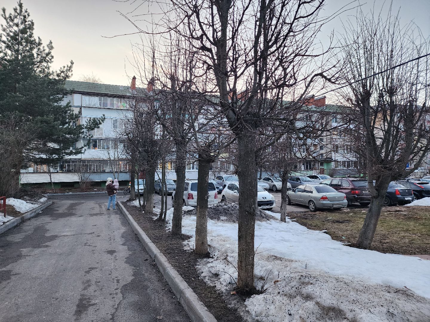 выездная администрация, собаки,