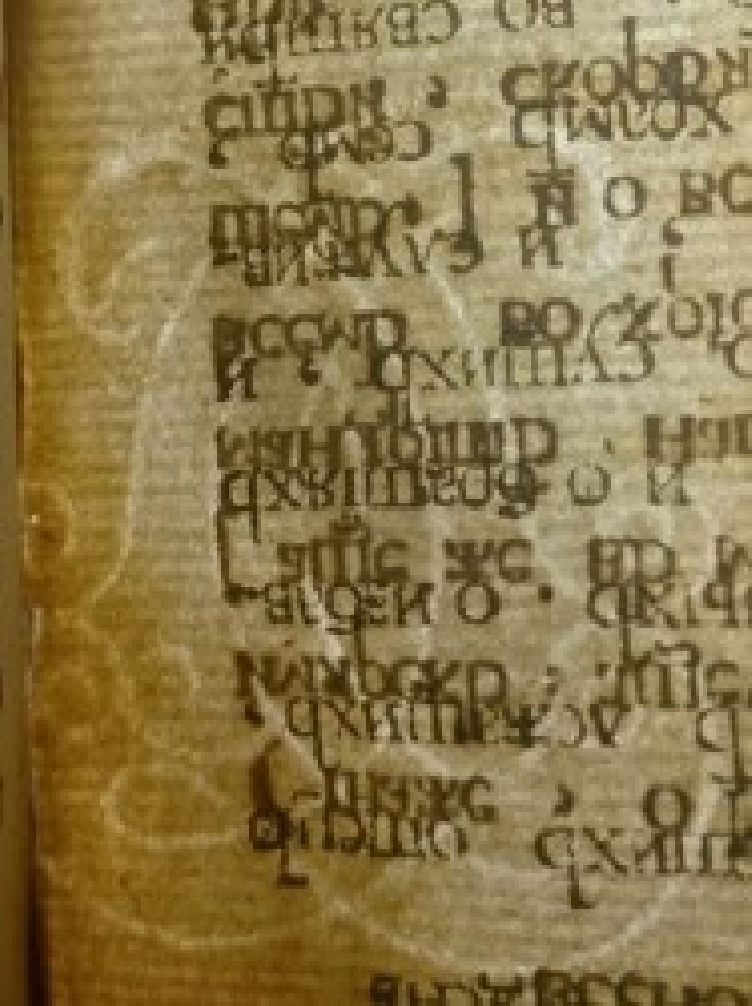 Лобня, культура, книги, ПетрI