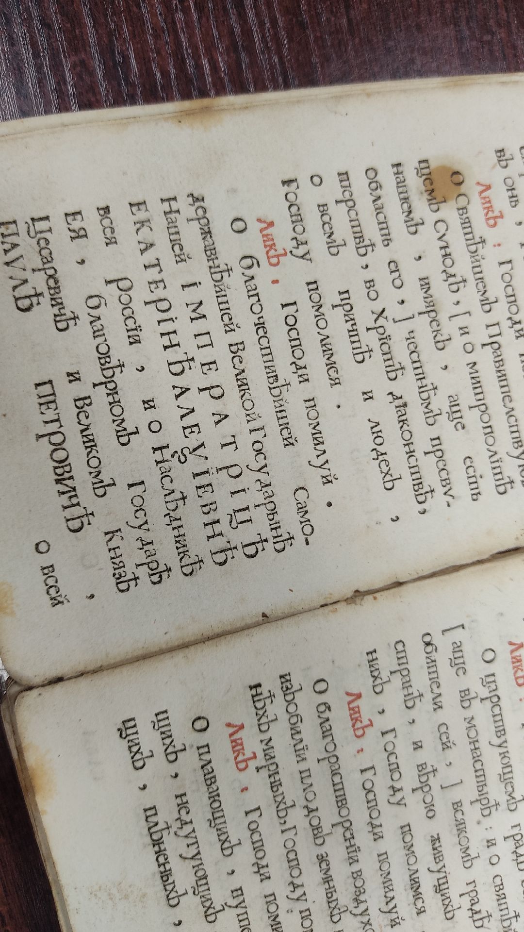 Лобня, культура, книги, ПетрI