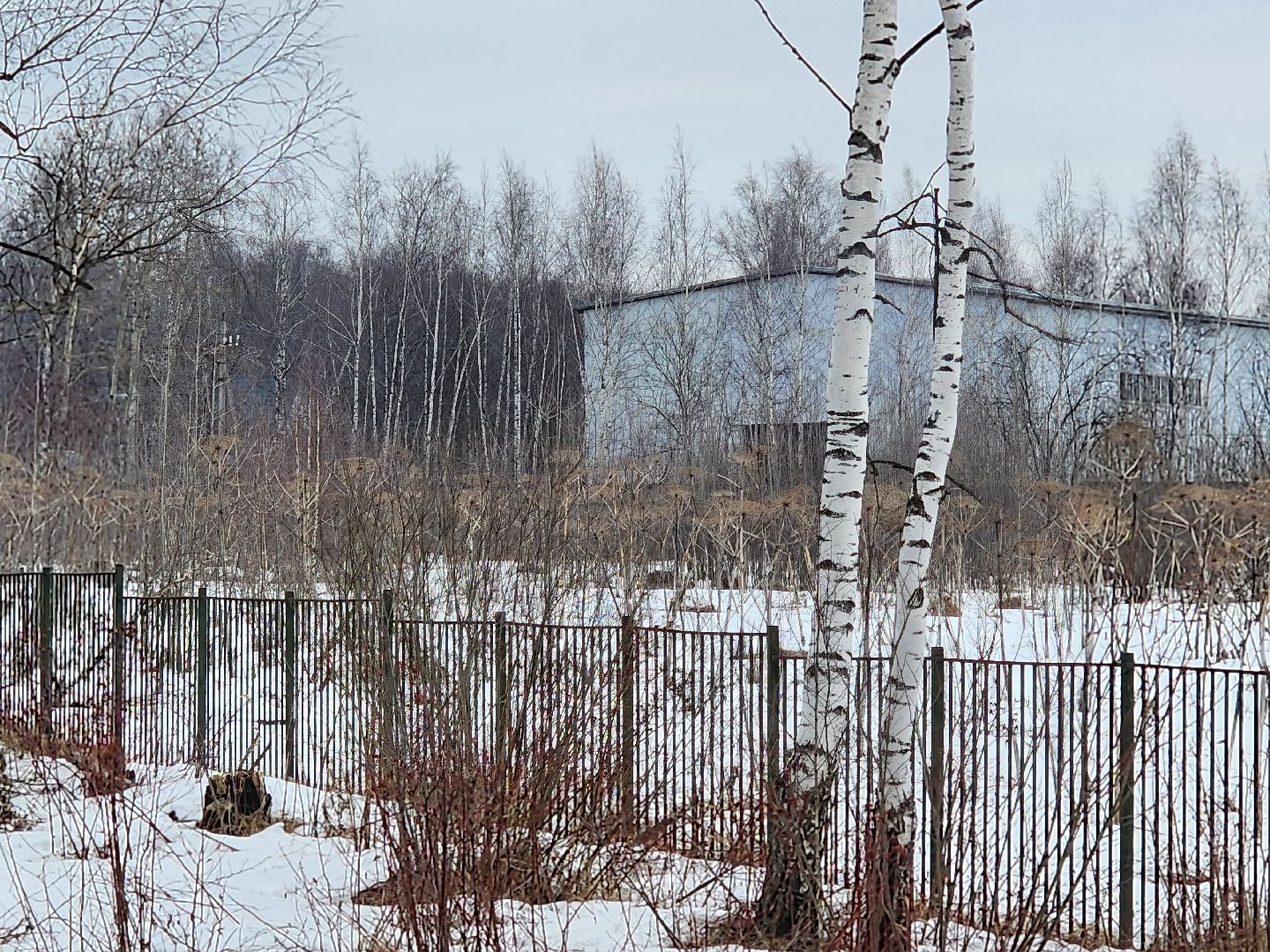 выездная администрация,