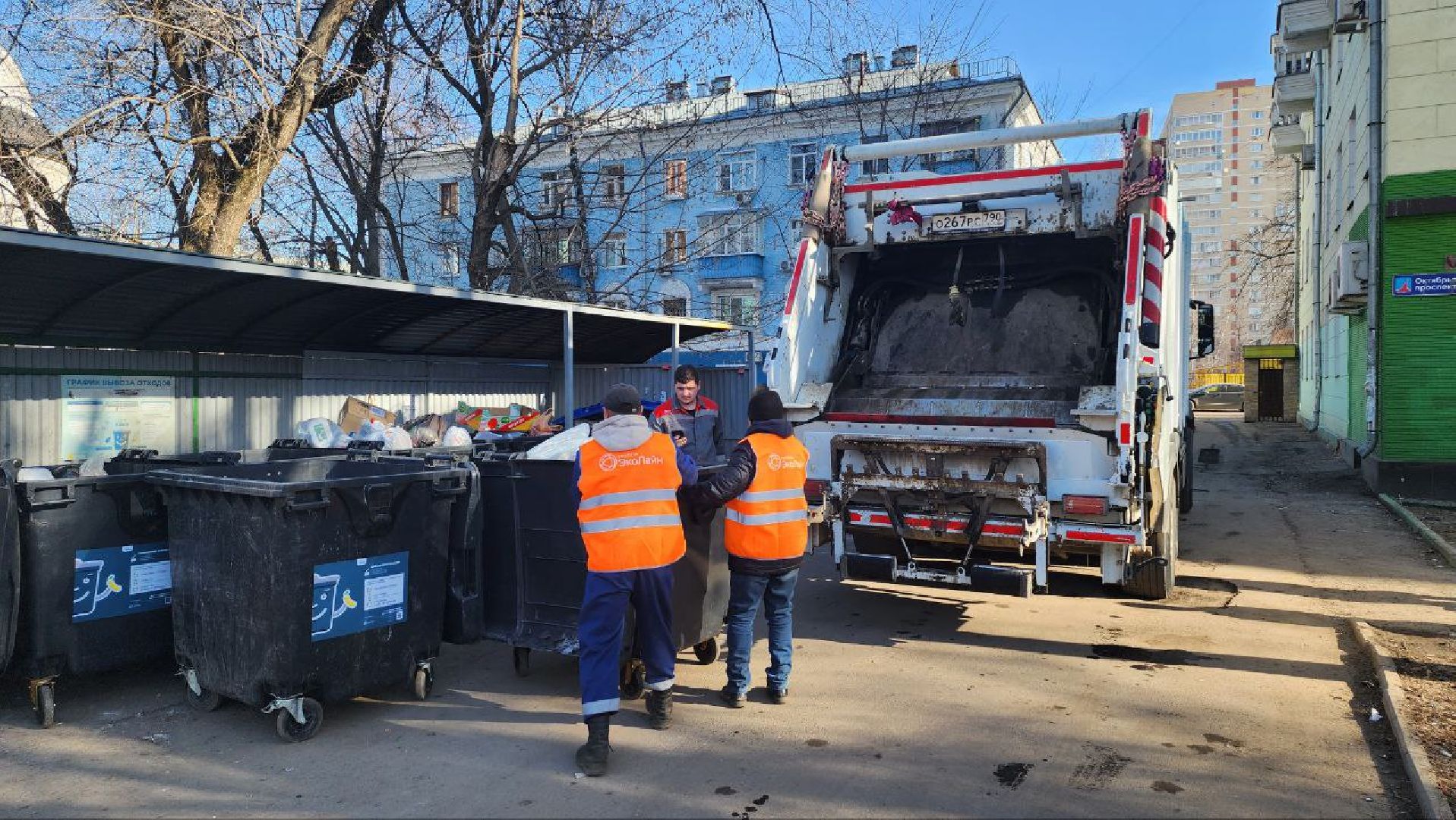 Люберцы, вывоз мусора, контейнерная площадка,