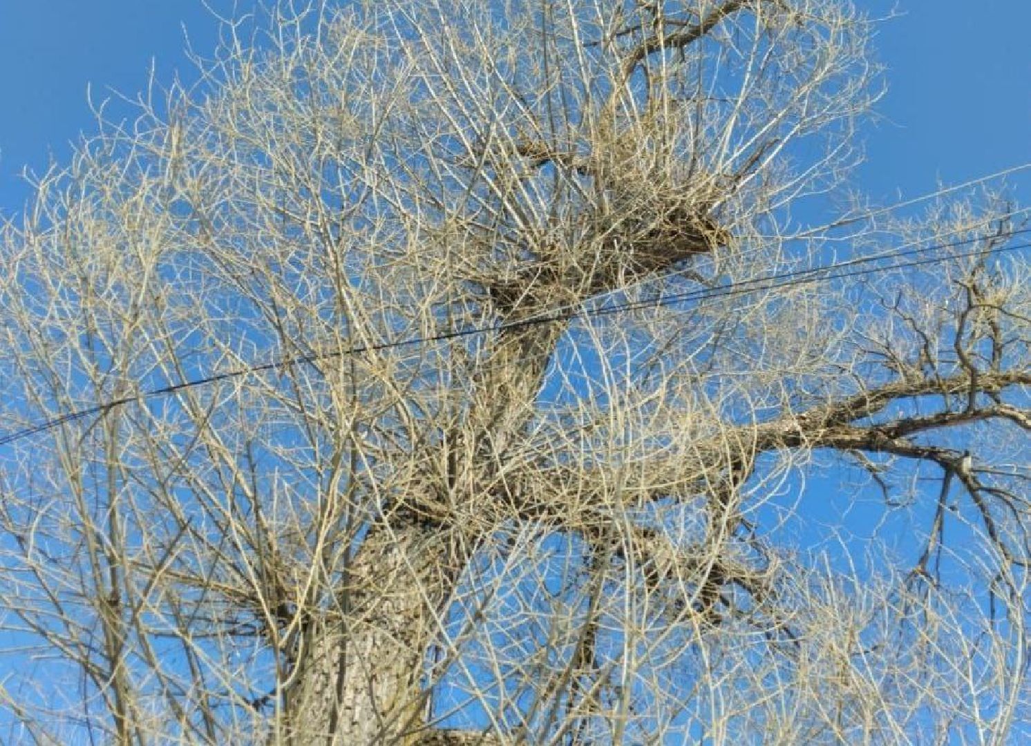 выездная администрация, орехово-зуевский округ,