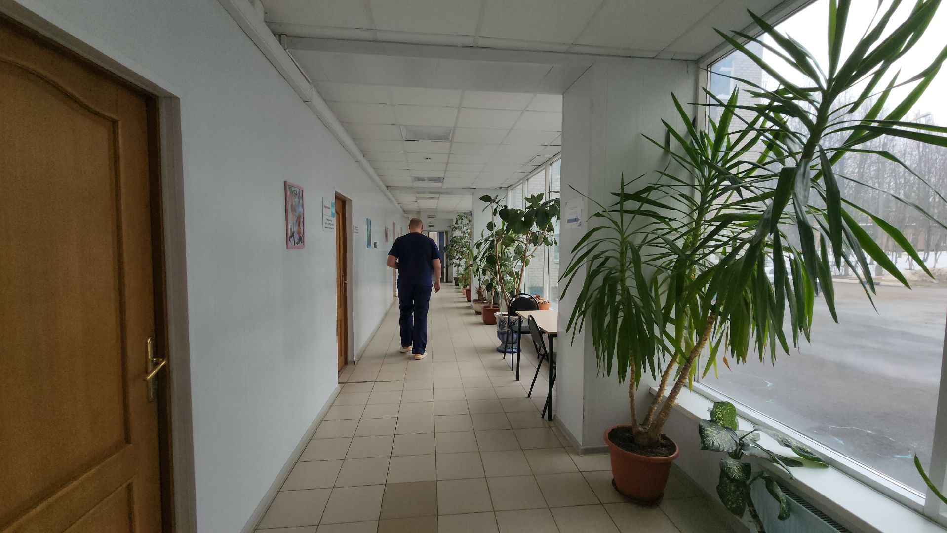 Поликлиника, травматология, врач,