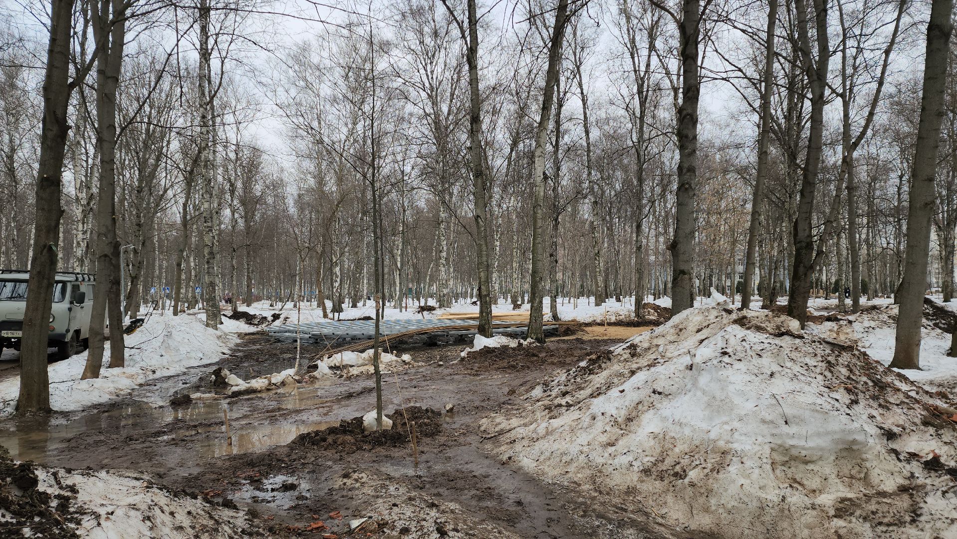 Деревья, Пересадка, лобня,