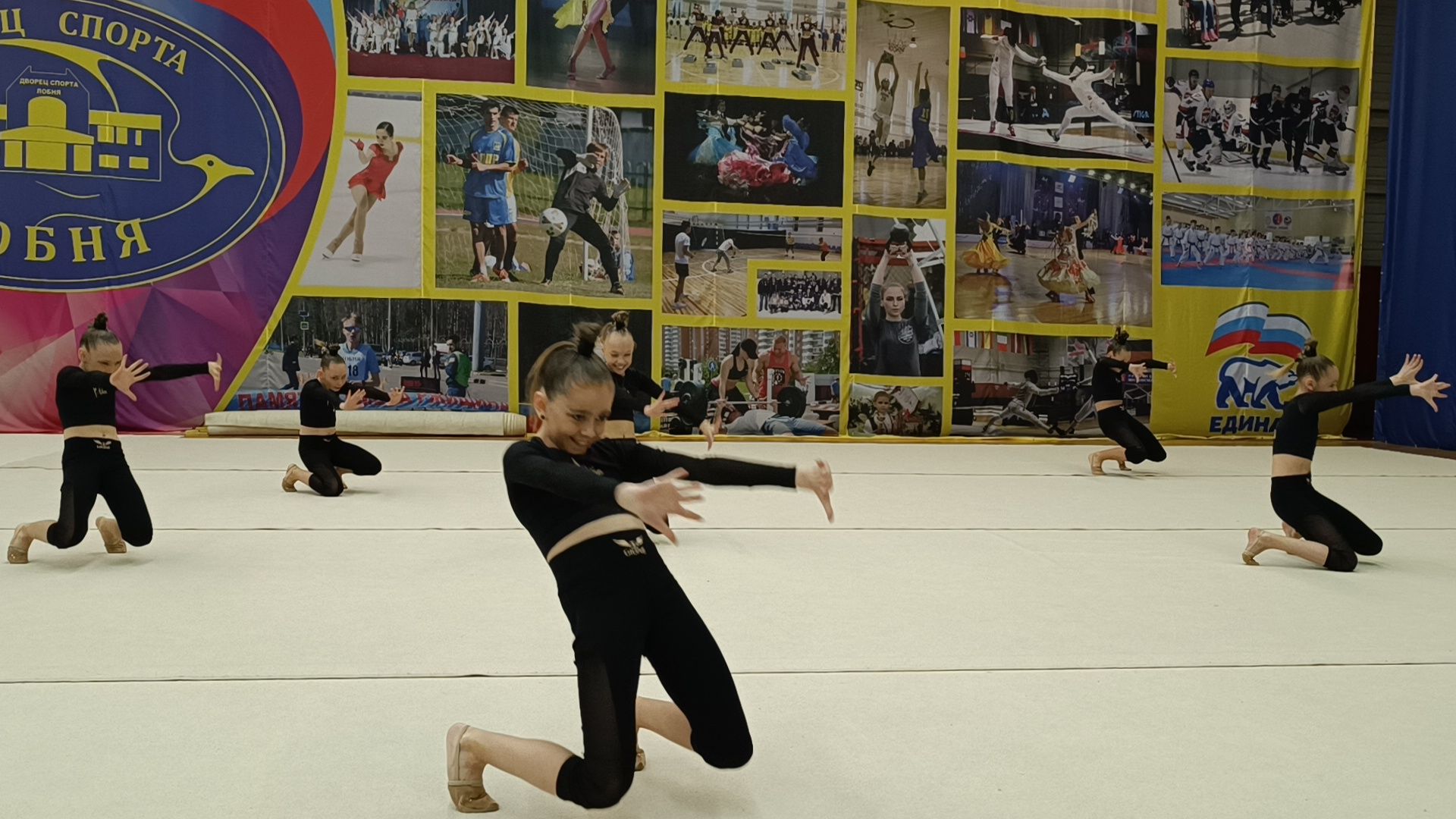 эстетическая гимнастика, спорт, лобня,