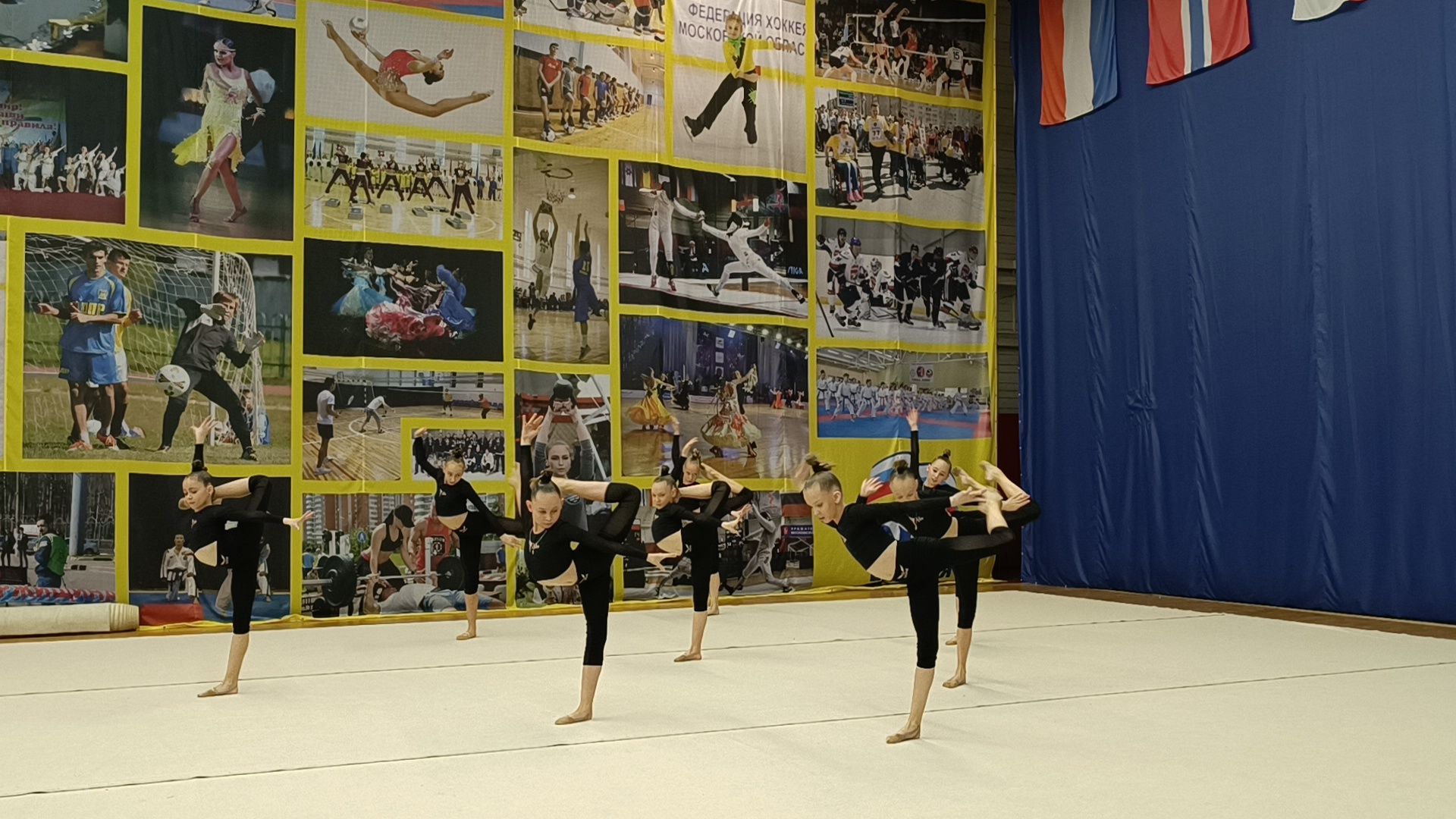 эстетическая гимнастика, спорт, лобня,