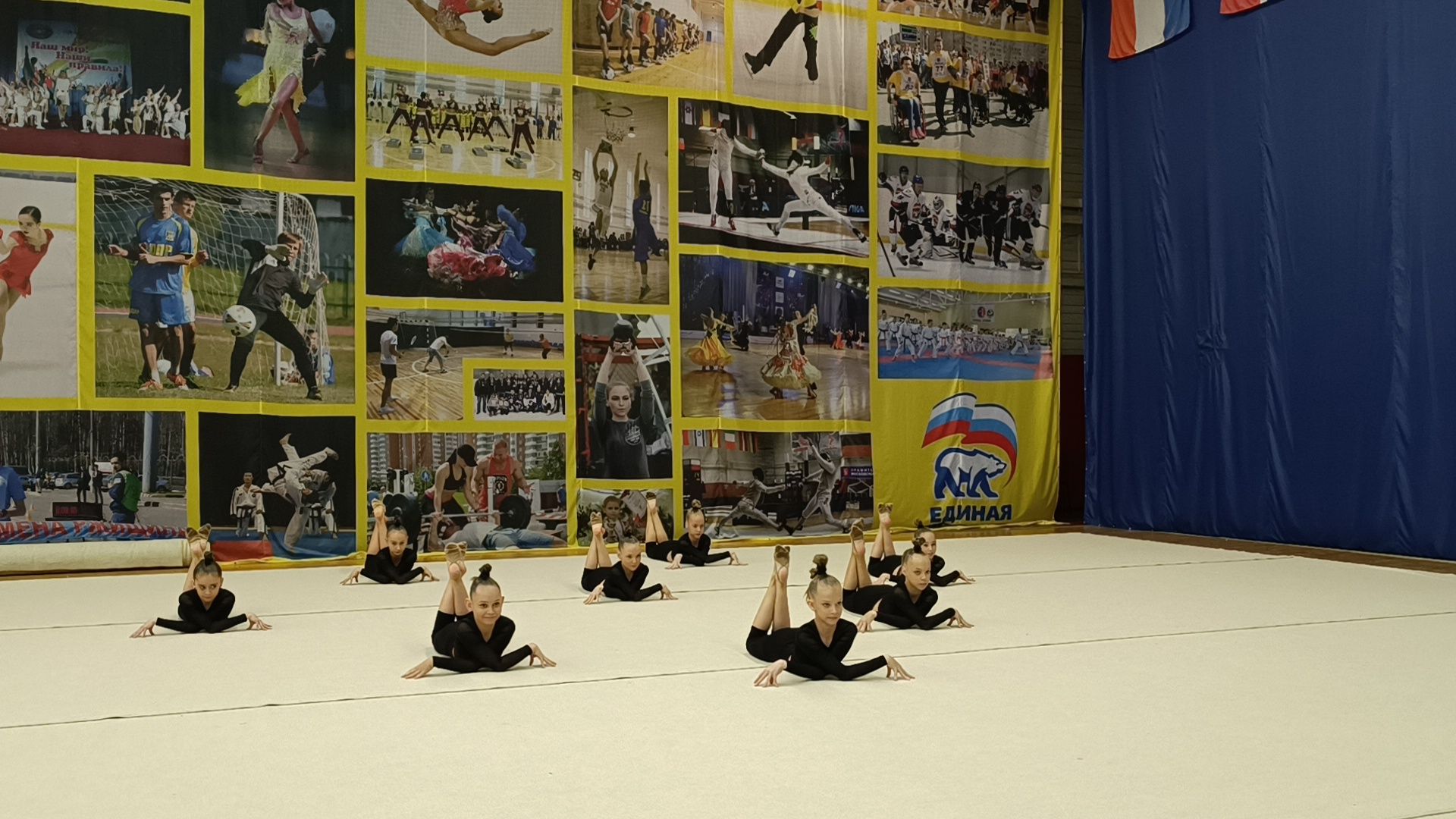 эстетическая гимнастика, спорт, лобня,