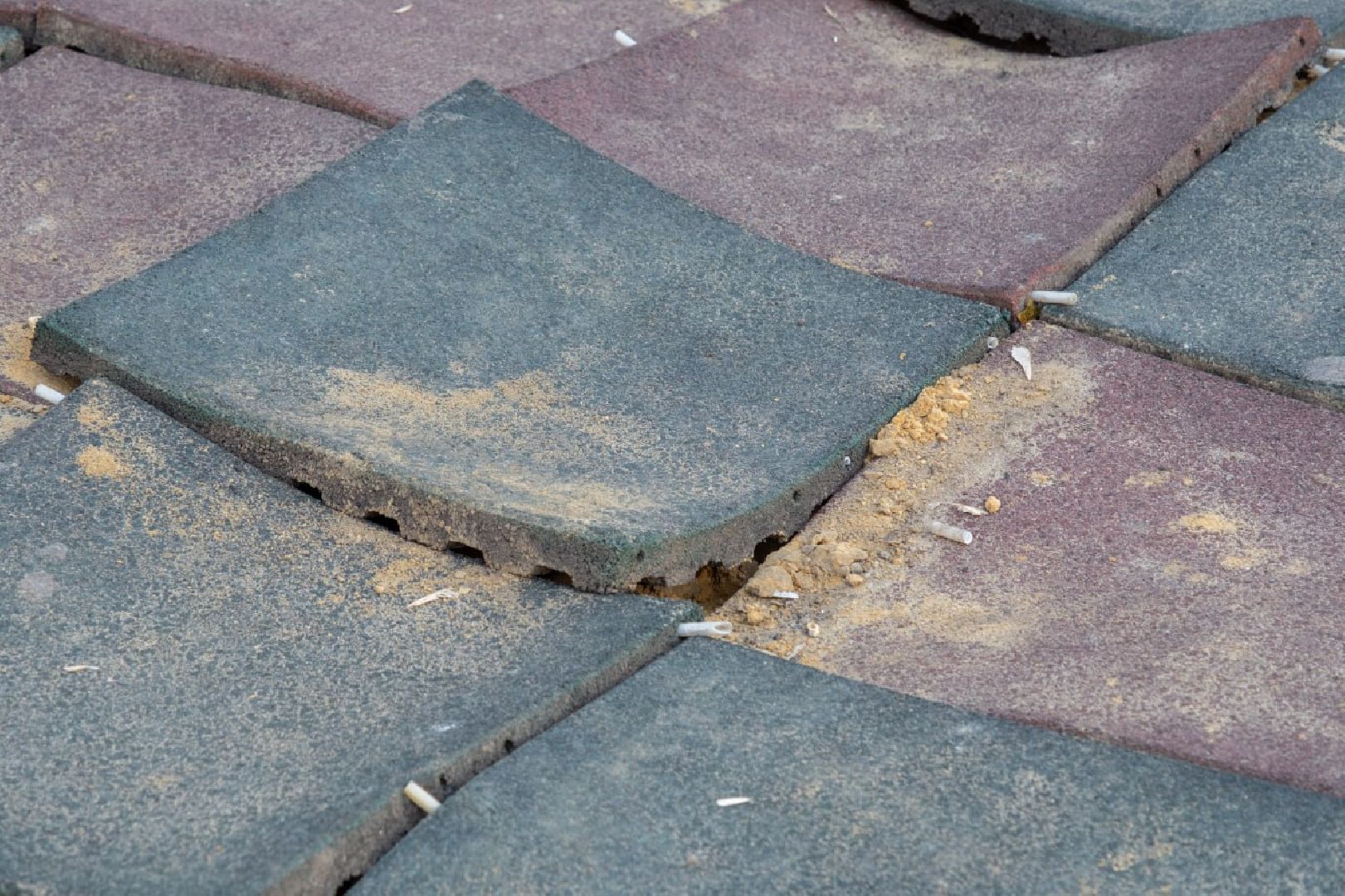 лыткарино, общество, выездная администрация,