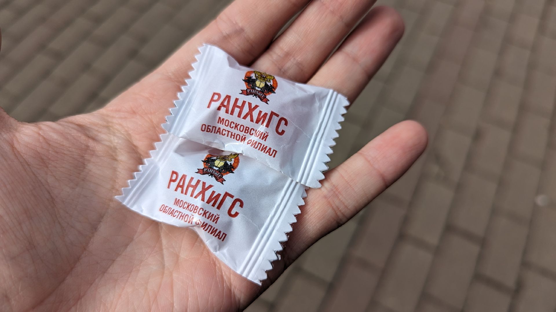 красногорск, день открытых дверей, ранхигс,