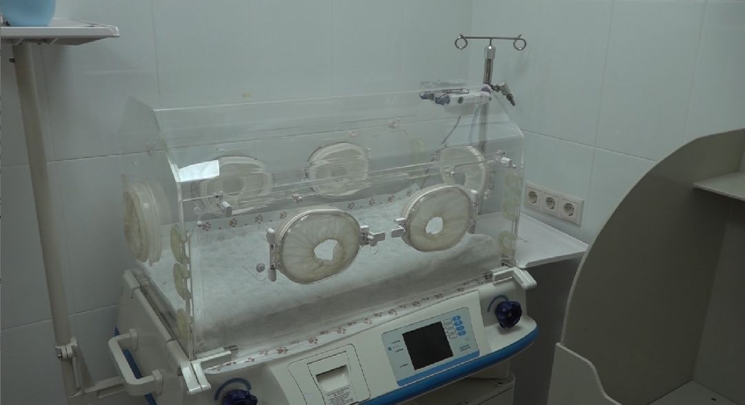 ветеринарная репродукция, беременность кошки, ветеринария