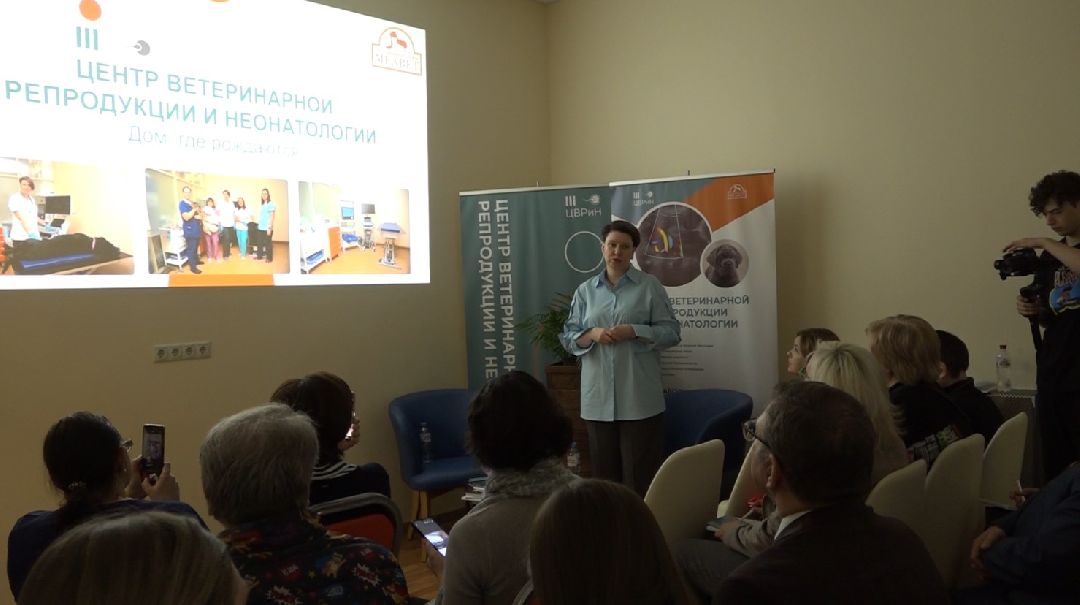 ветеринарная репродукция, беременность кошки, ветеринария