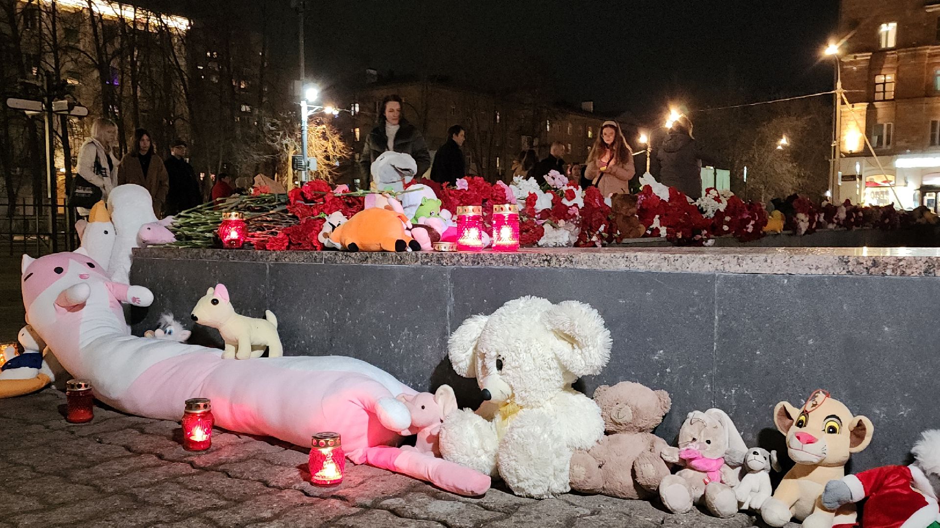 электросталь, мой город, жители города, память, память погибших, теракт, теракт в крокус сити холле, день памяти,