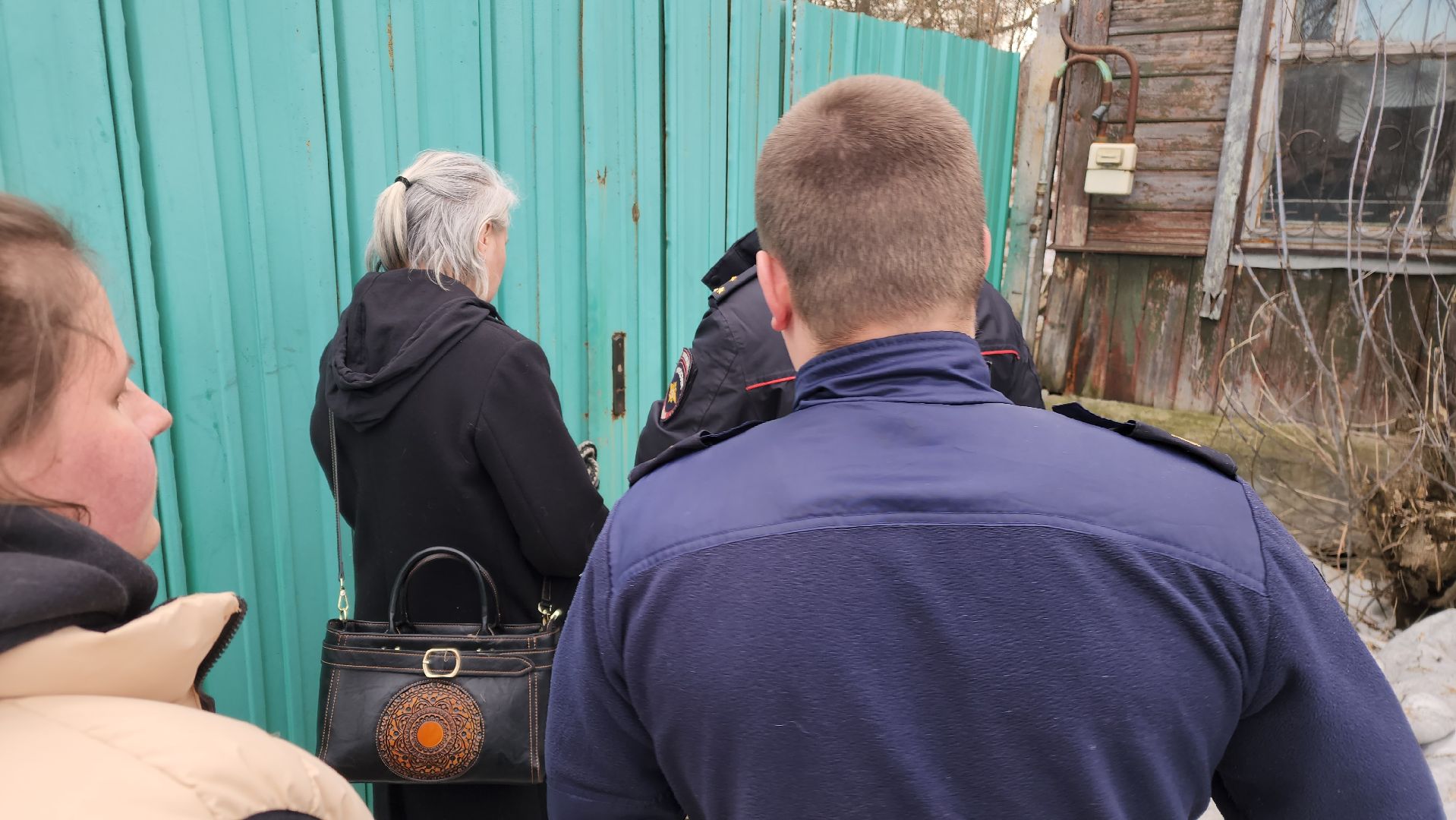 Кашира, собаки кашира, зоозащитники подмосковья,