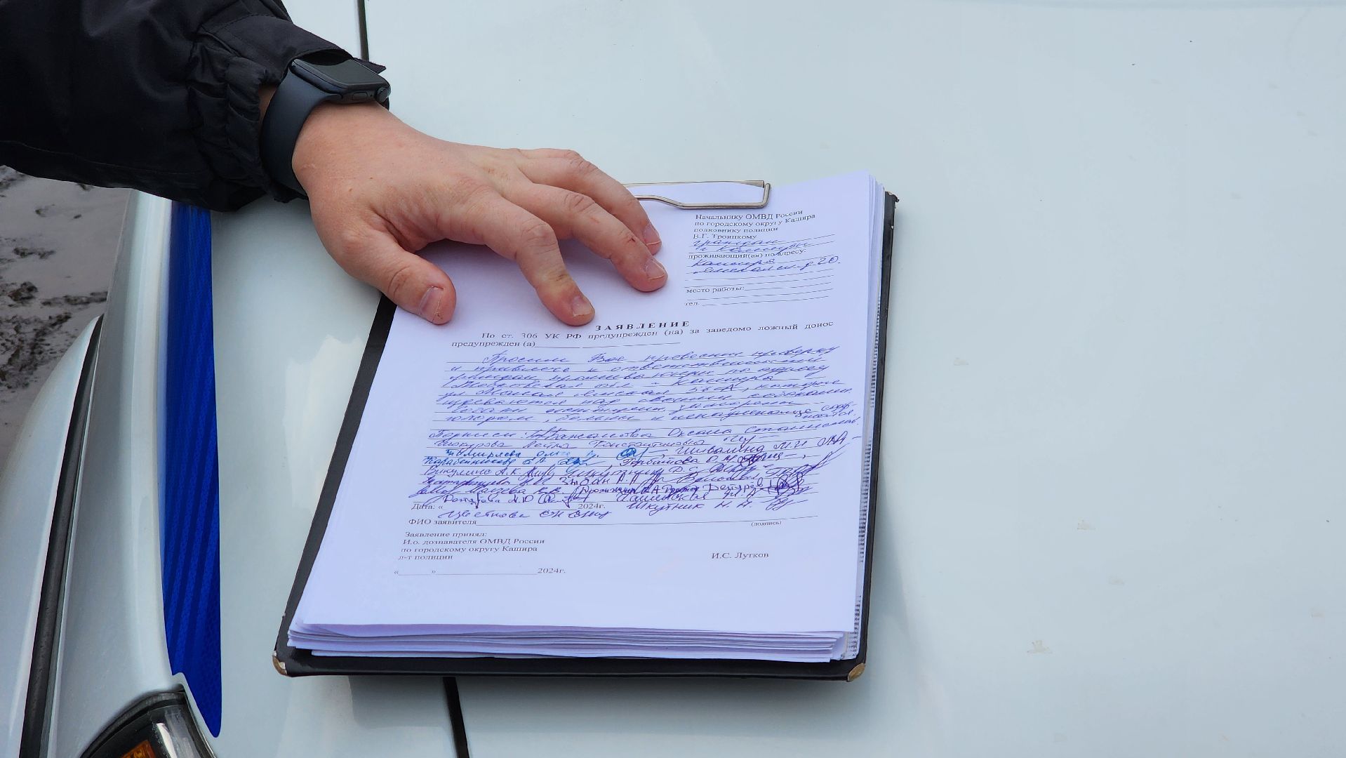 Кашира, собаки кашира, зоозащитники подмосковья,