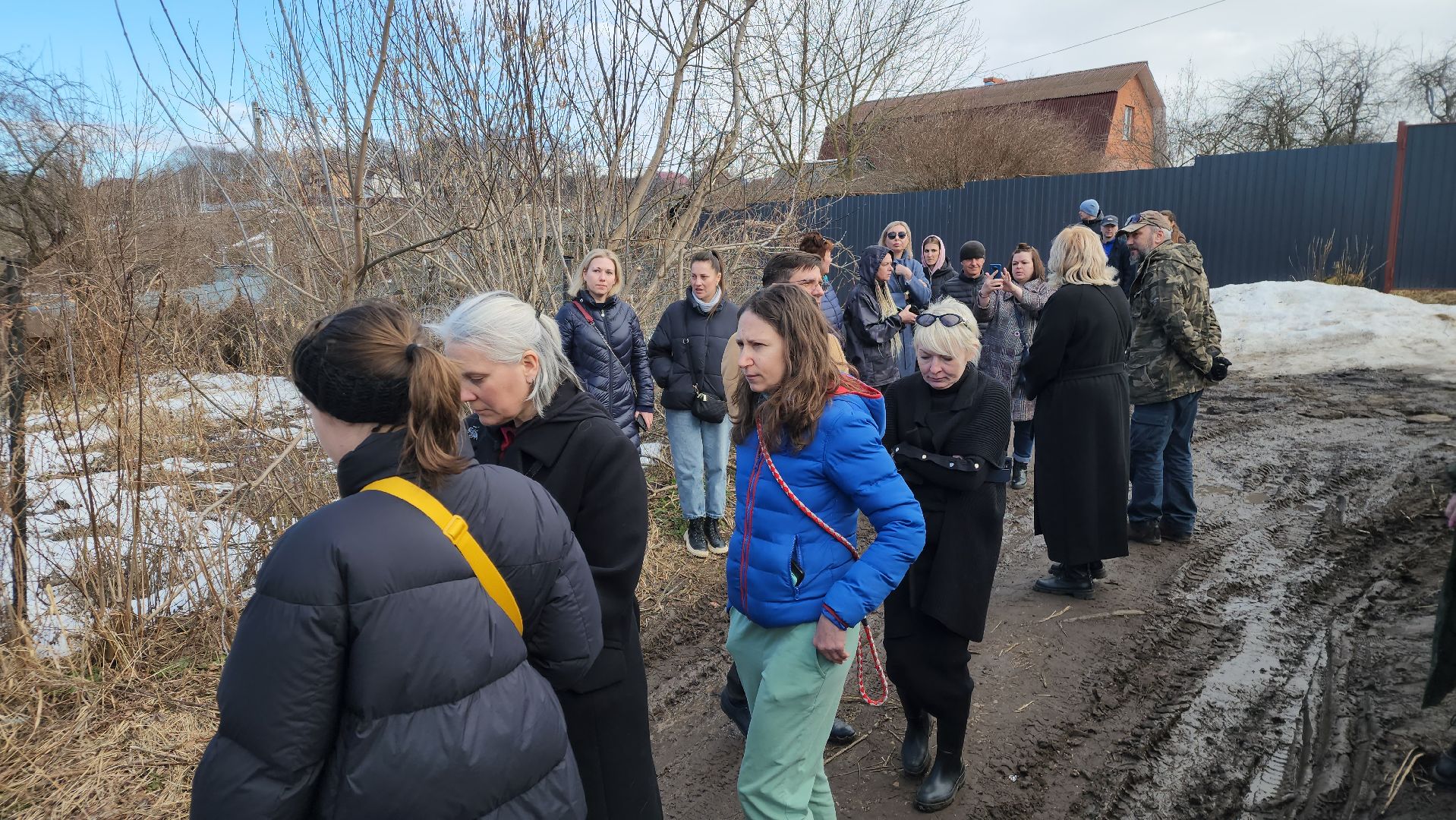 Кашира, собаки кашира, зоозащитники подмосковья,