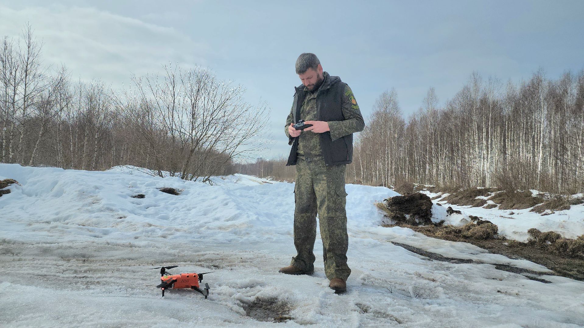 Егорьевск, лес, лось, лесничие, егорьевское лесничество,