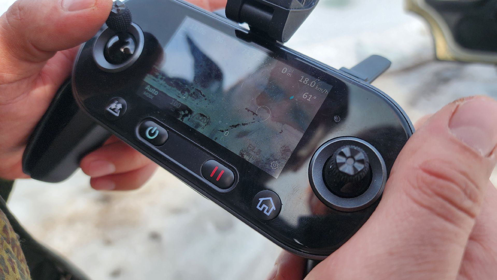 Егорьевск, лес, лось, лесничие, егорьевское лесничество,