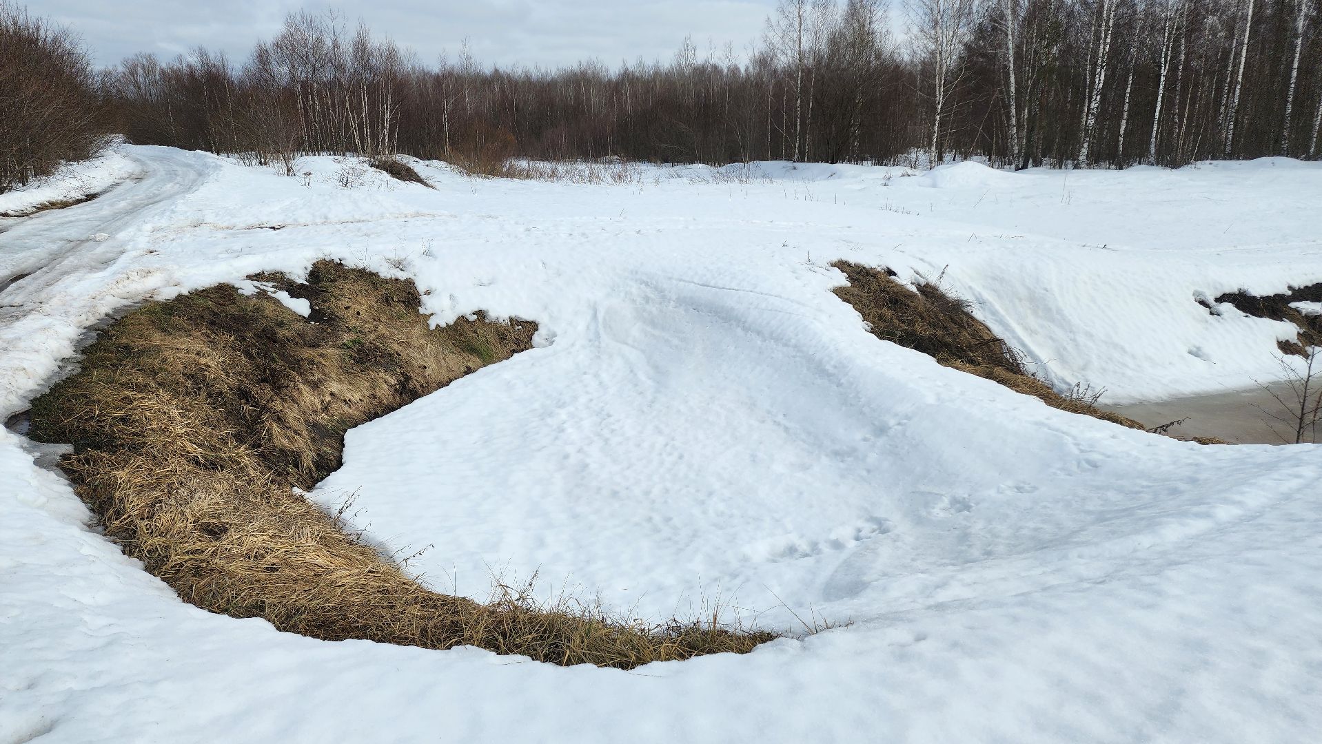 Егорьевск, лес, лось, лесничие, егорьевское лесничество,