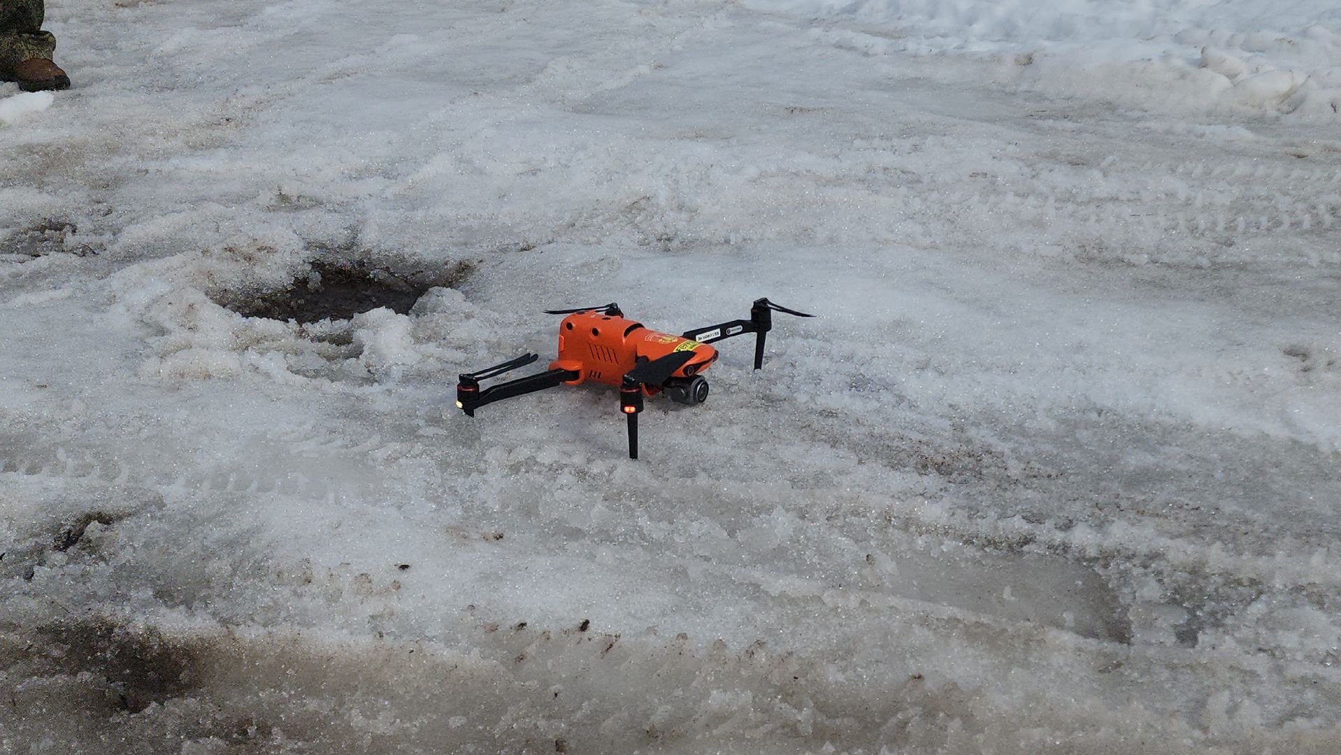 Егорьевск, лес, лось, лесничие, егорьевское лесничество,