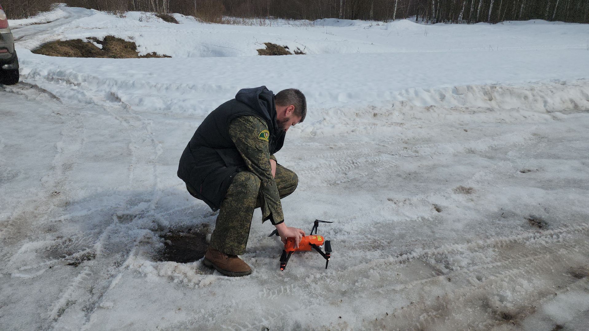 Егорьевск, лес, лось, лесничие, егорьевское лесничество,