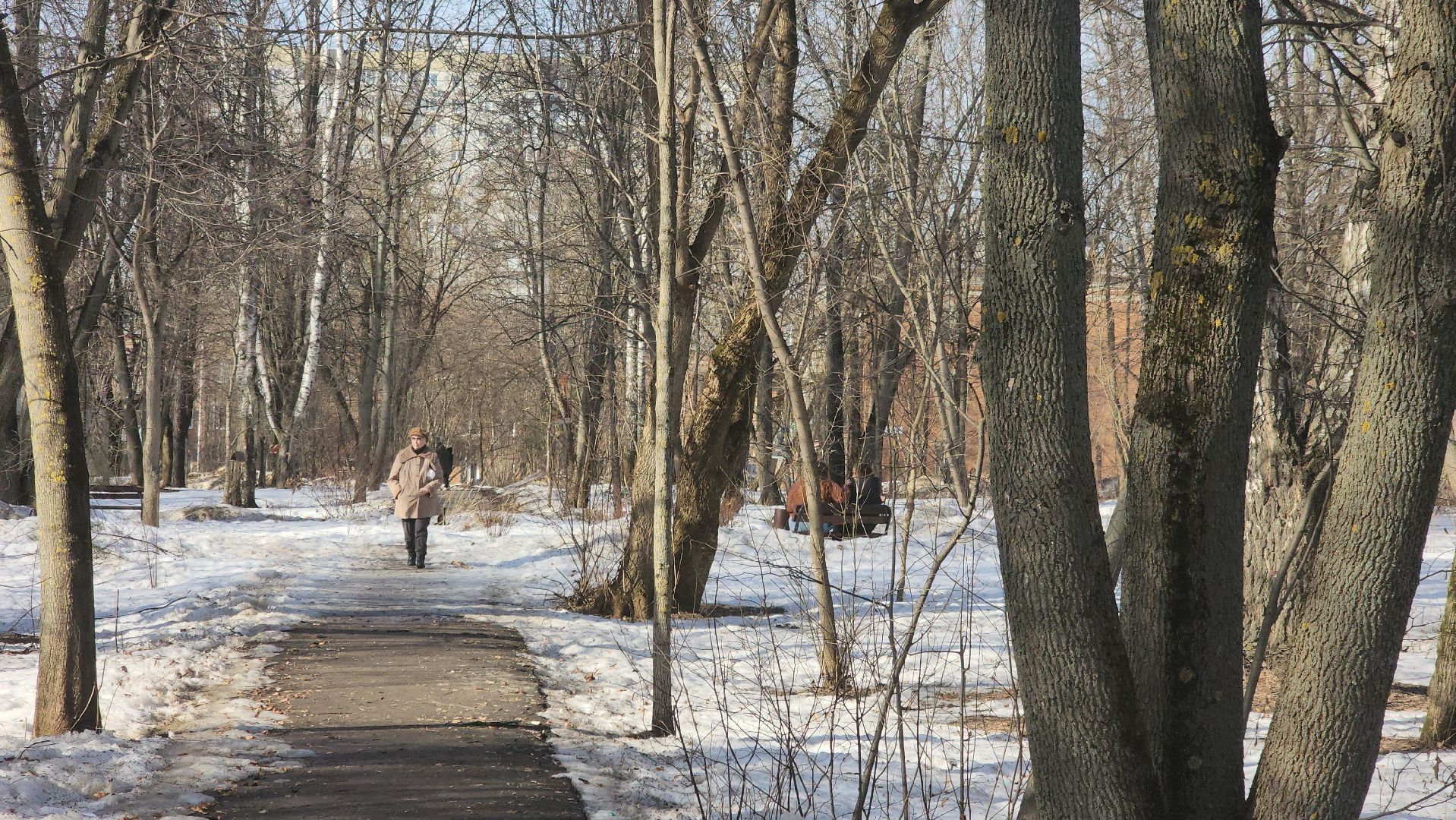 долгопрудный, Национальные проекты, городская среда, волонтеры подмосковья, Парк Островок,