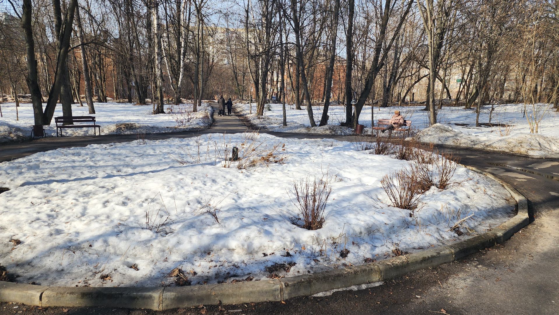 долгопрудный, Национальные проекты, городская среда, волонтеры подмосковья, Парк Островок,