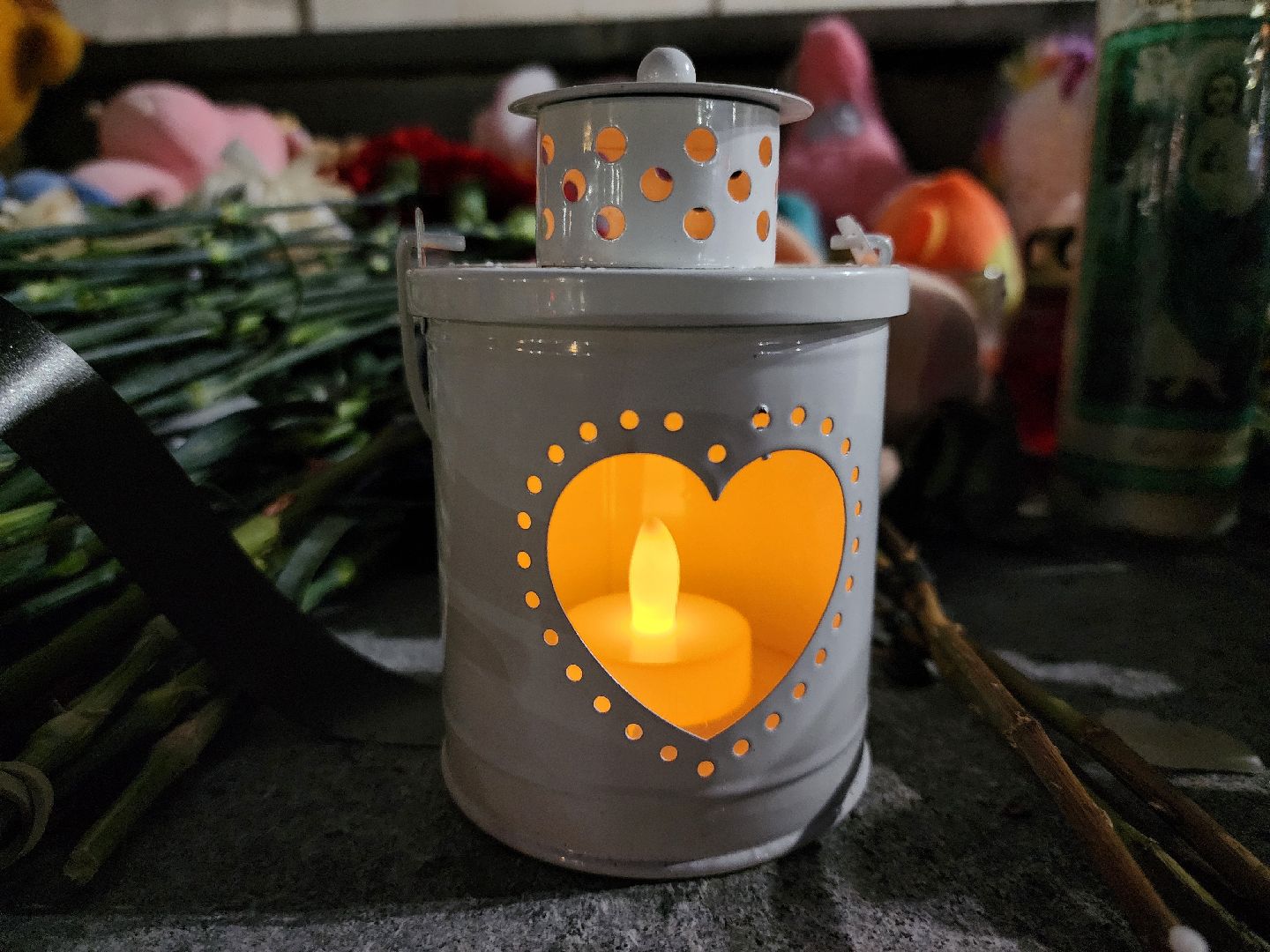 теракт, теракт в крокус сити холле, журавли, акция журавли, память о погибших, память погибших, руза скорбит, Руза,