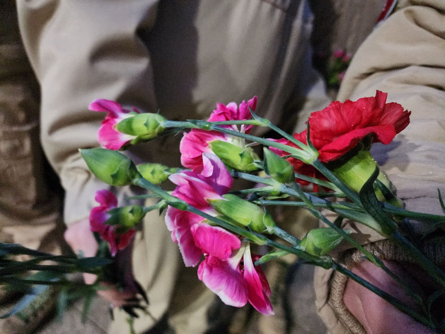 теракт, теракт в крокус сити холле, журавли, акция журавли, память о погибших, память погибших, руза скорбит, Руза,