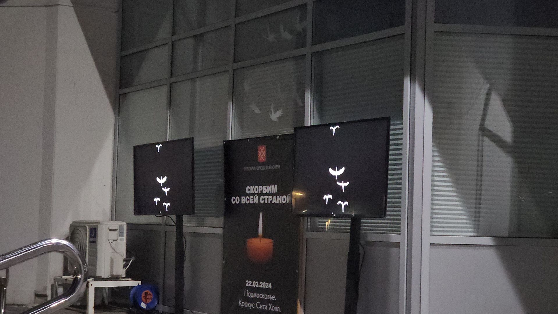 теракт, теракт в крокус сити холле, журавли, акция журавли, память о погибших, память погибших, руза скорбит, Руза,