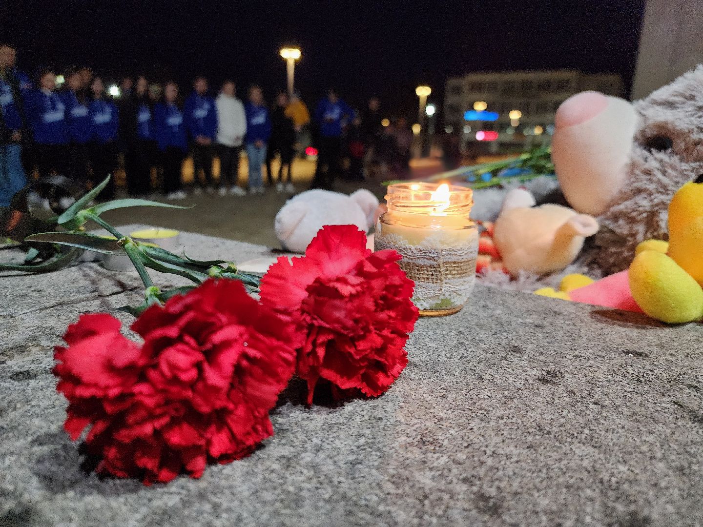 теракт, теракт в крокус сити холле, журавли, акция журавли, память о погибших, память погибших, руза скорбит, Руза,