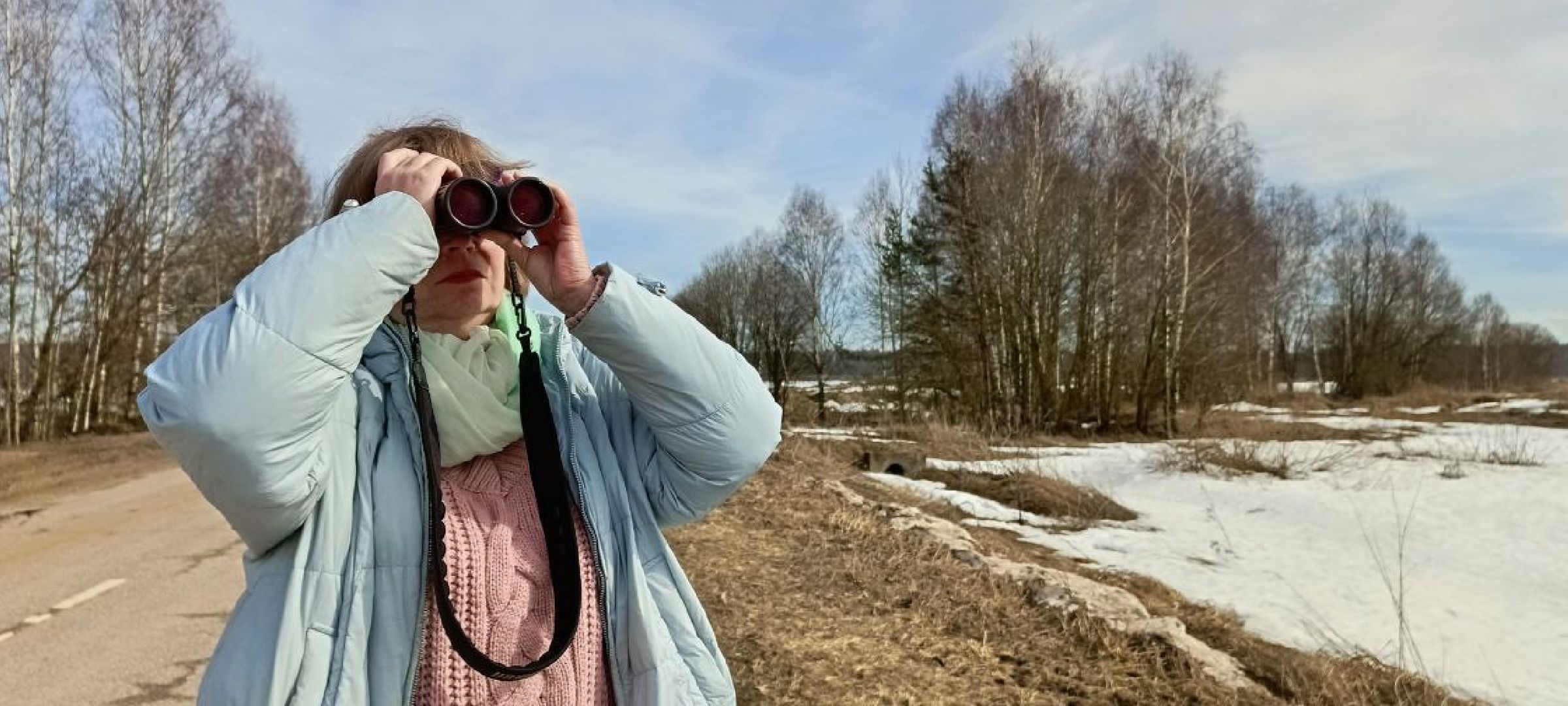 Талдом, Журавлиная родина, Серый журавль,