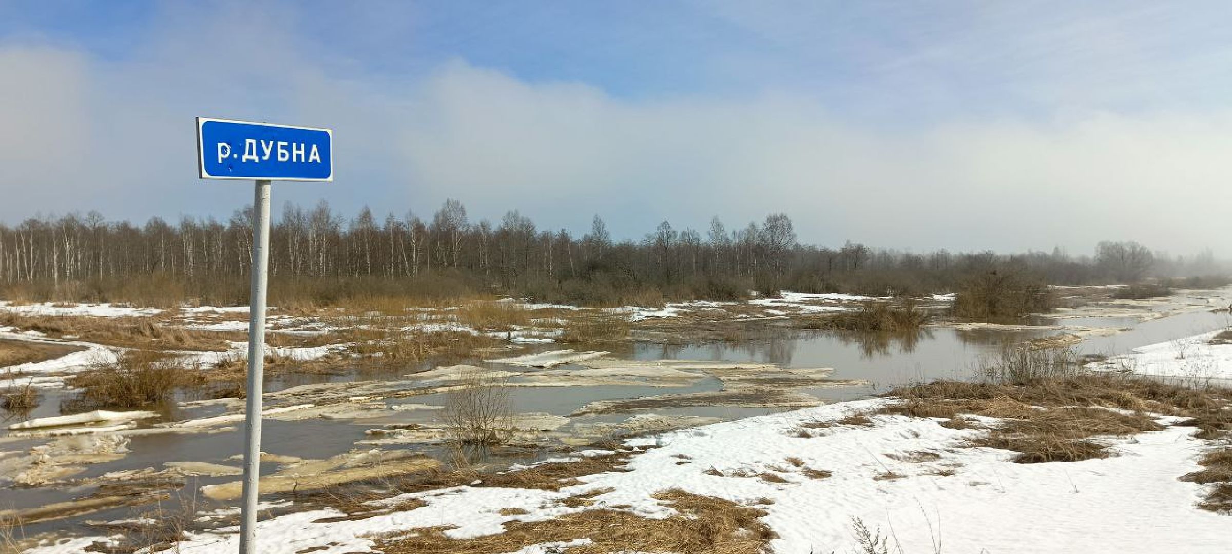 Талдом, Журавлиная родина, Серый журавль,