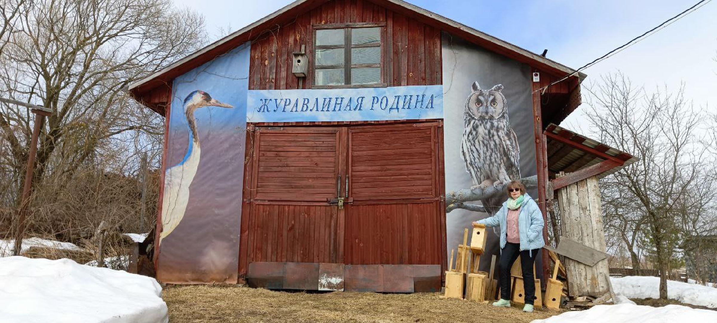 Талдом, Журавлиная родина, Серый журавль,