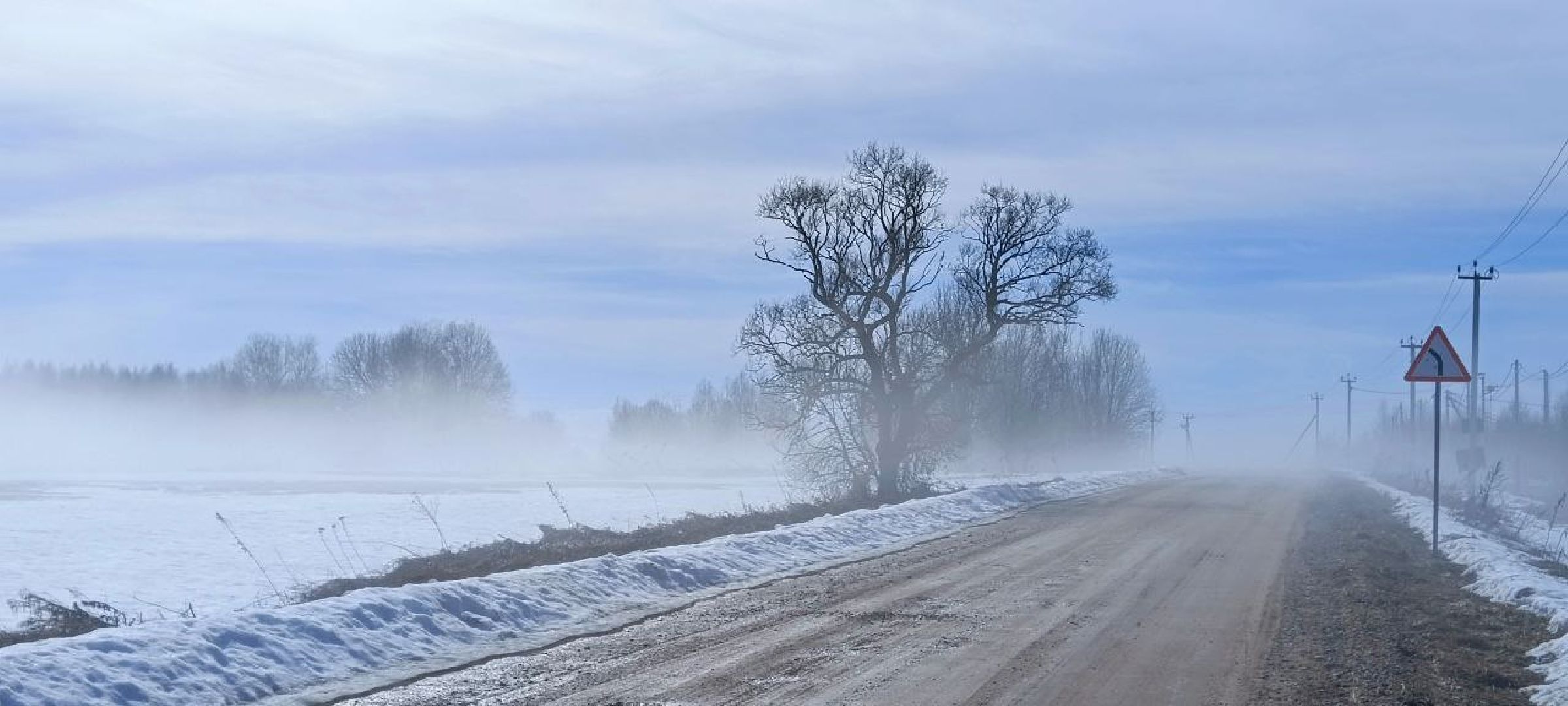 Талдом, Журавлиная родина, Серый журавль,