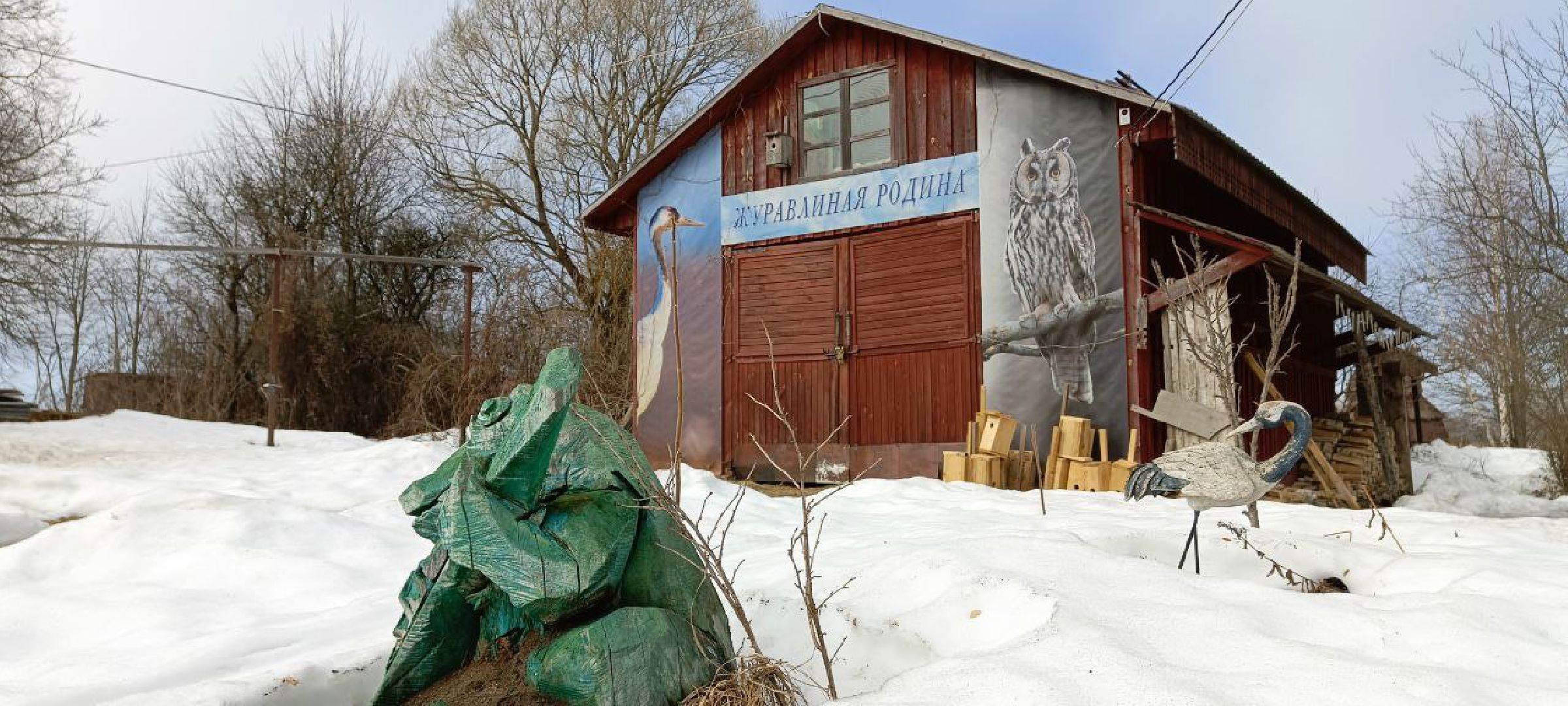 Талдом, Журавлиная родина, Серый журавль,
