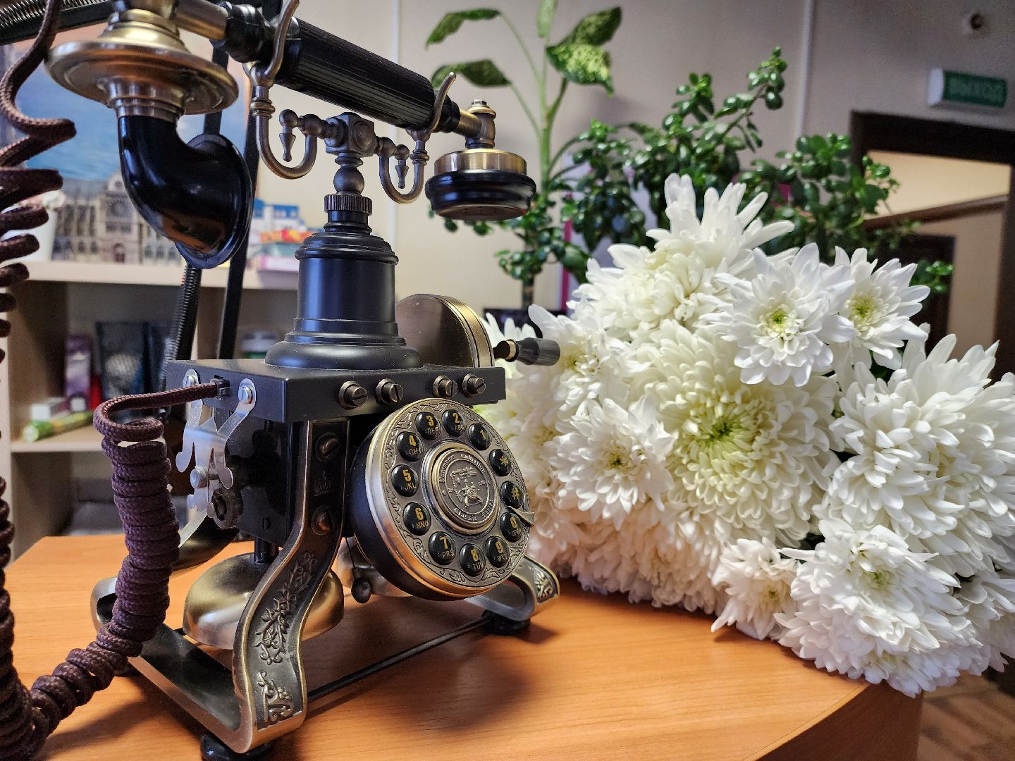 Творческий вечер, пансионат, пенсионеры, руза, рузский городской округ, Лариса Лужина, актриса,