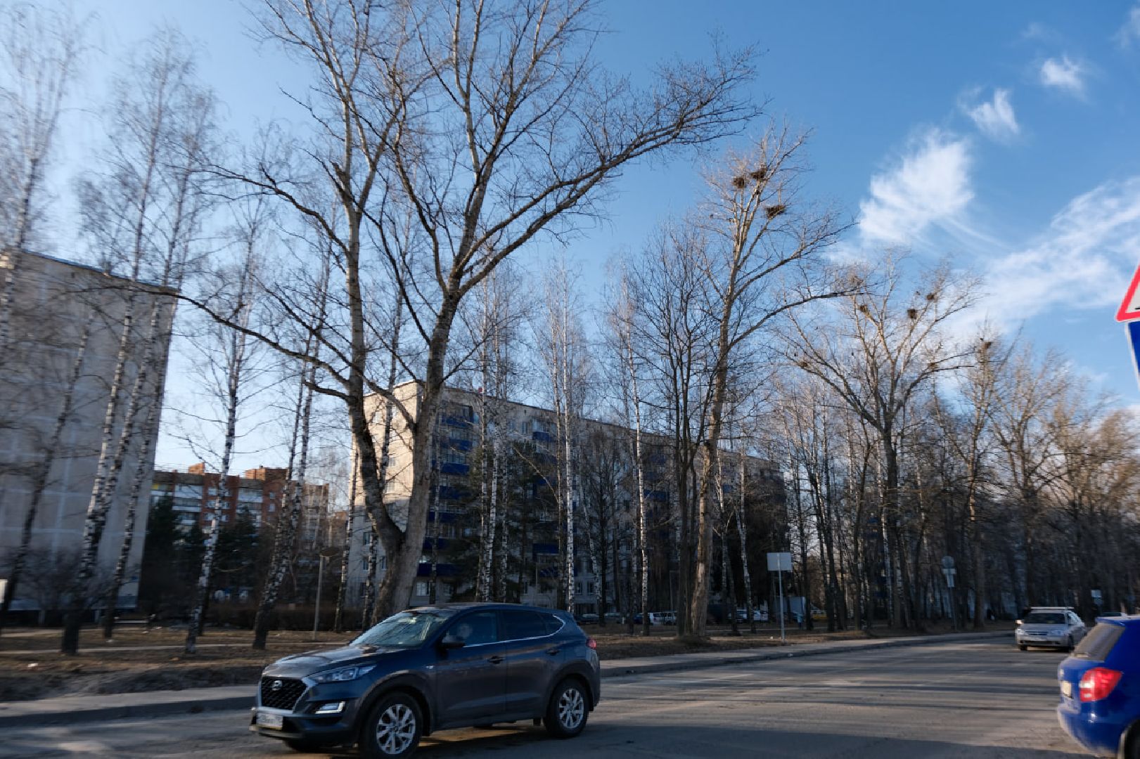 пущино, серпухов, экология, птицы подмосковья,