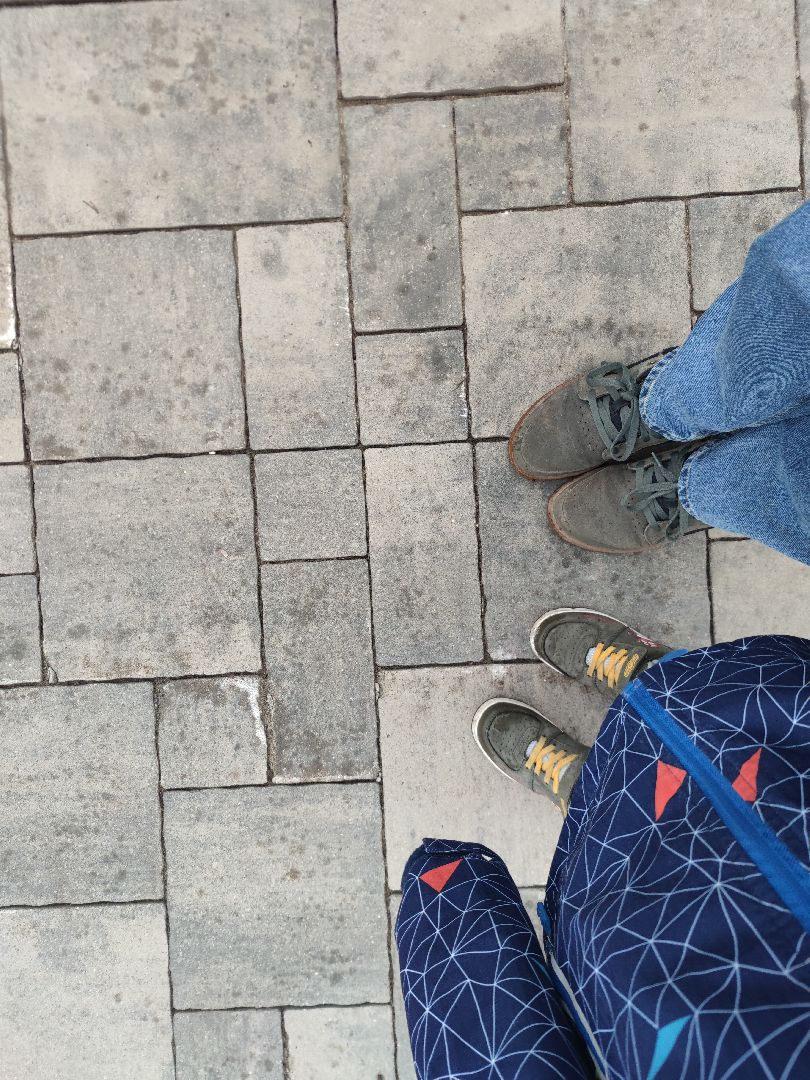 Дубна, жкх, Благоустройство территорий, Городские парки,