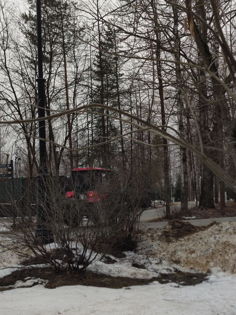 Дубна, жкх, Благоустройство территорий, Городские парки,