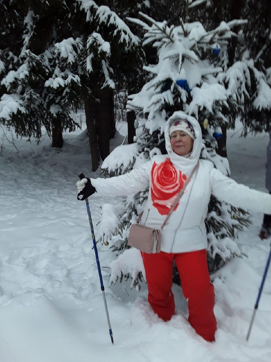 Краснознаменск, общество