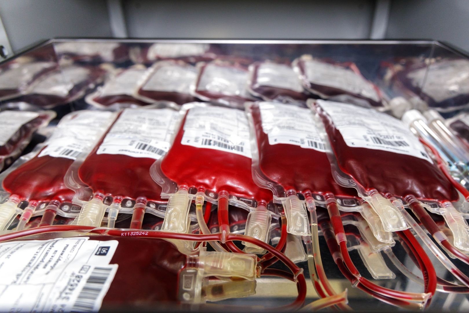 люберцы, доноры, крокус сити,