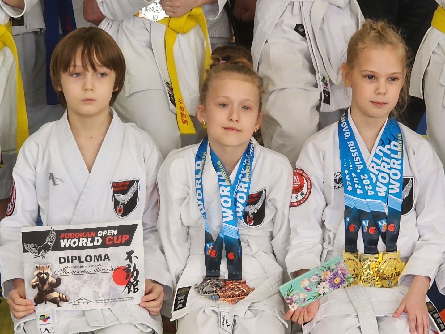 каратэ, кубок мира, орехово зуево,