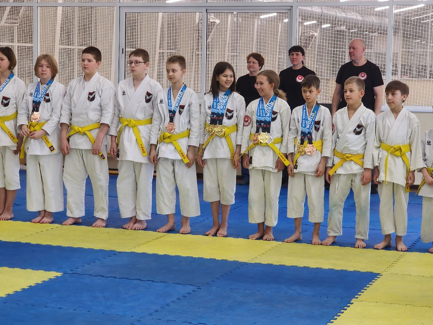 каратэ, кубок мира, орехово зуево,