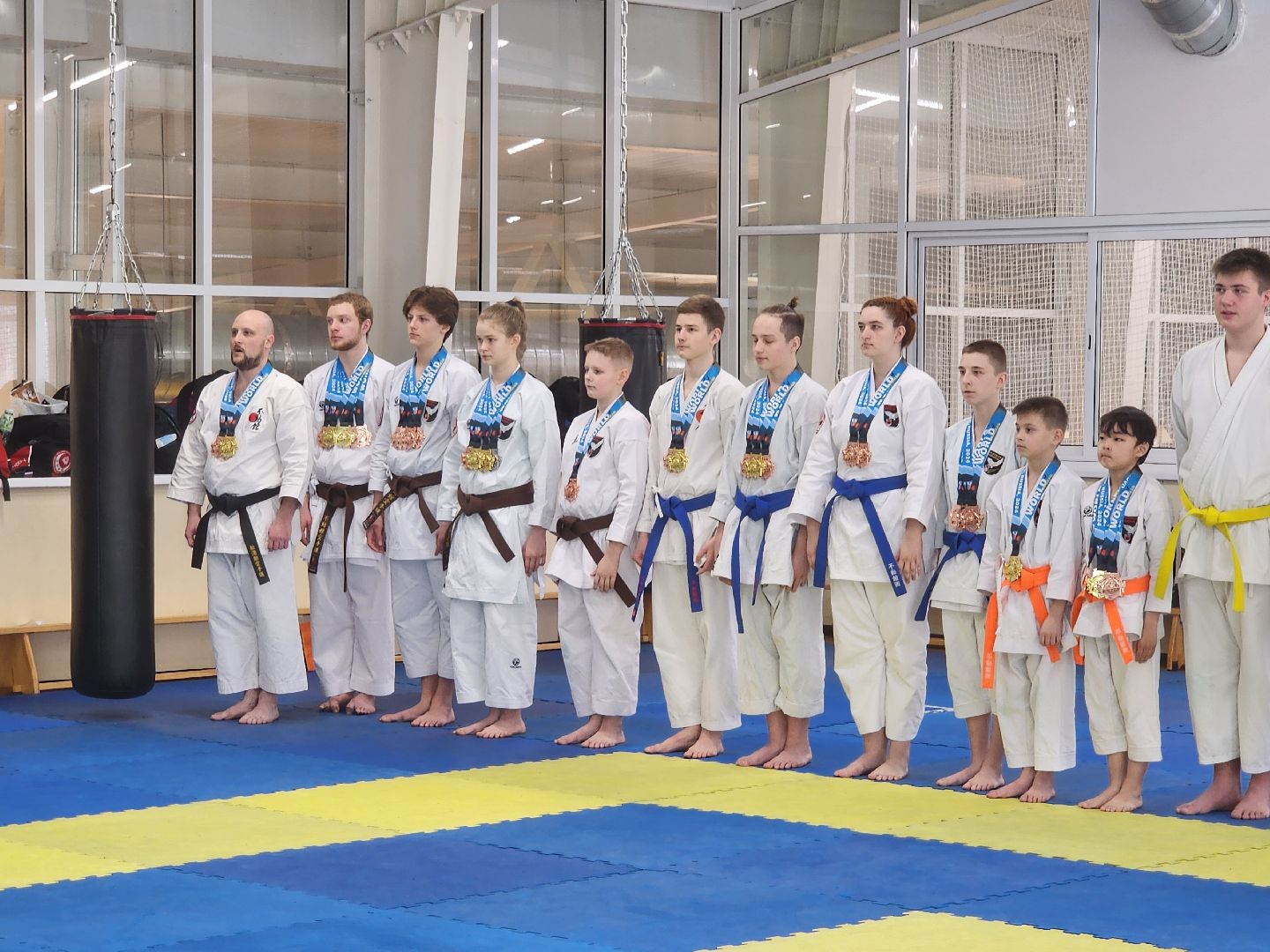 каратэ, кубок мира, орехово зуево,