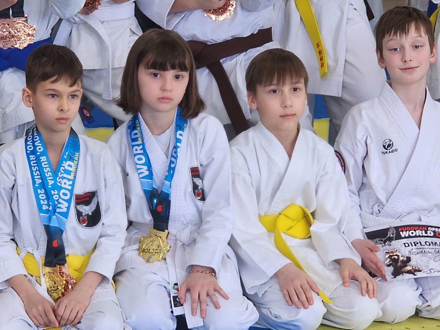 каратэ, кубок мира, орехово зуево,