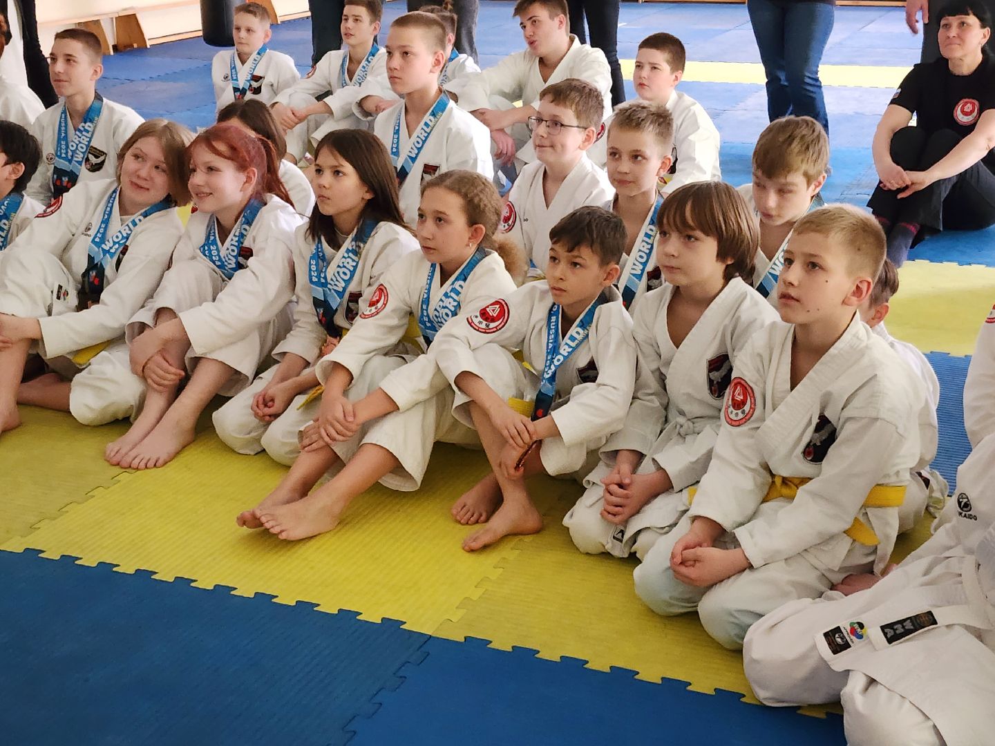 каратэ, кубок мира, орехово зуево,